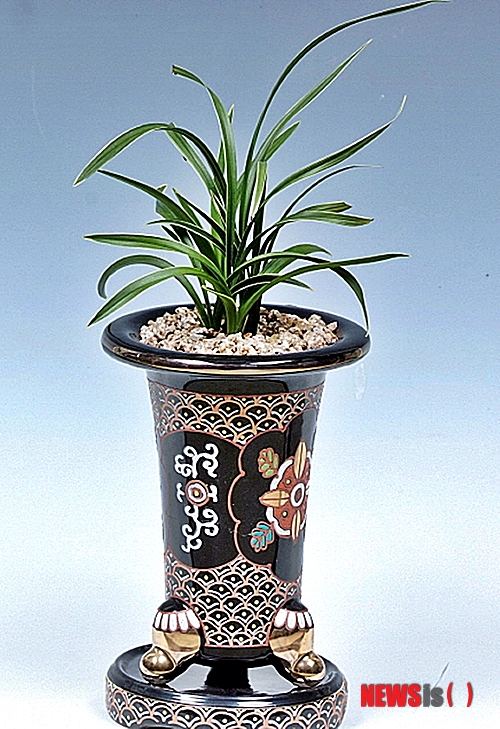 【군산=뉴시스】고석중 기자 = 14일 전북 군산시가 한국춘란의 향기가 없는 단점을 보완한 새품종 '아리울'을 공개했다. 군산시 영농조합법인 새만금생명공학센터가 연구개발을 통해 이룩한 성과로 현재 국립종자원에 신품종으로 등록됐다.(사진=군산시 제공)  photo@newsis.com  