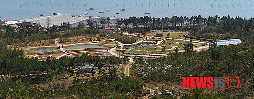 【신안=뉴시스】박상수 기자 = 전남 신안군은 압해도 송공산 기슭에 조성한 '천사섬 분재공원'이 개관 3년 8개월 여만에 45여 명이 다녀가는 등 지역의 관광명소로 자리매김하고 있다고 22일 밝혔다. 사진은 바다를 정원 삼아 펼쳐진 분재공원 전경.(사진=신안군 제공)&nbsp;&nbsp; photo@newsis.com