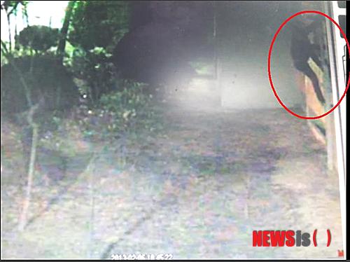 【창원=뉴시스】강승우 기자 = 13일 경남 창원시내의 한 고층아파트에서 남성이 가스배관을 타고 침입해 귀금속 등 금품을 털고 달아나 경찰이 수사에 나섰다. 사진은 절도범이 지난 6일 오후 6시45분께 창원시 마산회원구의 고층 아파트 1층 가스 배관을 타고 올라가는 폐쇄회로(CC)TV 장면. 이 남성은 이 수법으로 A씨의 집에 침입, 귀금속 등 금품을 훔치고 달아났다. (사진= 경남지방경찰청 제공)&nbsp; ksw@newsis.com 