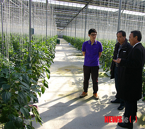 【춘천=뉴시스】유경석 기자 = 농협중앙회 채형석 강원지역본부장은 20일 오전 인제군지부를 방문해 새해 업무보고를 받은 가운데 파프리카를 재배하는 서화1리 박용희씨 농가를 방문해 애로사항 등을 청취하고 있다. (사진=농협중앙회 인제군지부 제공) yksnews@newsis.com