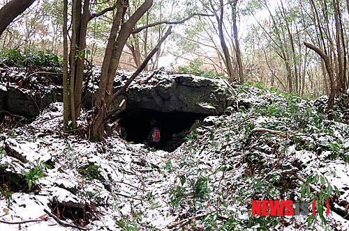 【제주=뉴시스】강정만 기자= 13일 제주특별자치도 한라산연구소(소장 양영환)는 '곶자왈 환경자원 조사' 보고서에서, 제주 4개 곶자왈은&nbsp; 제주 고유동물인&nbsp; 제주족제비, 제주멧밭쥐, 제주등줄쥐, 비단털쥐, 제주땃쥐 등 19종이 서식하는 등 희귀·멸종위기 동식물과 곤충이 서식하고 있는 보고(寶庫)라고 밝혔다. 사진은 제주시 한경면 저지리에 있는 곶자왈.(사진=한라산연구소 제공).&nbsp;&nbsp; photo@newsis.com&nbsp; 