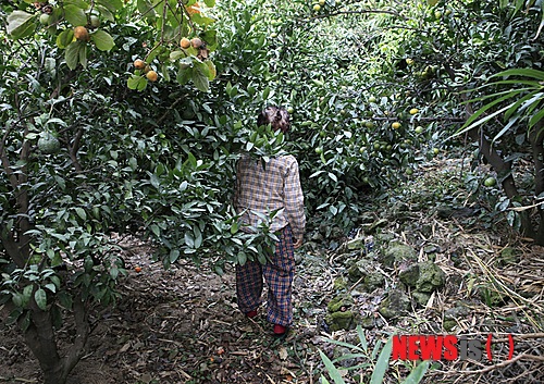 【서울=뉴시스】박영주 기자 = 제주 4·3과 강정마을 이야기를 함께 다룬 다큐멘터리 ‘비념’이 4월3일 개봉한다.&nbsp;&nbsp; gogogirl@newsis.com