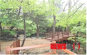 【부산=뉴시스】허상천 기자 = 부산시설공단은 2008년부터 사업비 33억 원을 들여 ‘금강공원 재정비 1단계 사업’을 마무리하고 오는 26일 오후6시 지역주민 300여 명을 초청해 재정비 준공 기념식을 개최키로 했다. (사진 = 부산시설공단 제공)&nbsp;&nbsp; photo@newsis.com