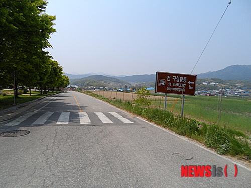 【산청=뉴시스】남병희 기자 = 경남 산청군 금서면 전 구형왕릉 입구 도로변에 재경향우 나성식(65)씨가 지난 4일 금서면에 기증한 라일락이 식재되어 있다.(사진 = 산청군 제공) photo@newsis.com