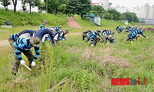 【증평=뉴시스】강신욱 기자 = 4일 충북 증평군 증평읍 보강천에서 육군 37사단과 특전사 흑표부대 장병들이 쓰레기 줍기와 풀 베기 등 환경정화 활동을 하고 있다. (사진=증평군청 제공)&nbsp; photo@newsis.com