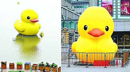 【서울=뉴시스】중국 우한(武漢, 왼쪽)과 시안(西安)에 설치된 짝퉁 고무오리, '러버덕' 조형물. 최근 '복제 천국'이라는 오명을 안고 있는 중국에서 네덜란드 예술가 프로렌테인 호프만의 작품인 고무 오리, '러버덕'을 무단으로 베낀 짝퉁 러버덕이 10여 개 도시에 만들어진 가운데 저작권을 소유한 호프만이 이 같은 표절 행위를 절대 용납하지 못한다며 향후에 법적 대응 여부를 결정하기로 했다. (사진출처: 중국 런민르바오(人民日報)) 