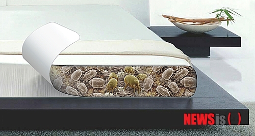 【서울=뉴시스】김정환 기자 = 진드기와 층간소음 문제를 한꺼번에 해결 가능한 침대가 개발됐다. 진드기가 생존할 수 없는 섬유와 구조로 제작했다는 ‘이솜 에어 베드’다.&nbsp; ace@newsis.com