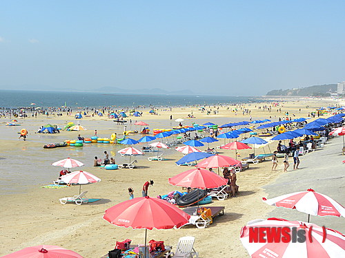 【보령=뉴시스】이진영 기자 = 6월 마지막 주말인 29일 충남 보령시 대천해수욕장에 7만3000여 명(보령시 추산)의 피서객이 찾아 유람선과 모터보트 등 밀려오는 파도와 물놀이를 즐기는 등 즐거운 주말을 보내고 있다. 2013.06.29&nbsp;&nbsp;&nbsp; jin22666@newsis.com 