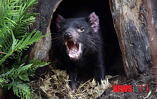 【서울=뉴시스】원추의 '오늘의 운세' 2013년 7월9일 화요일 (음력 6월2일·병자)&nbsp; ▶쥐띠 = 어려운 고비를 참고 넘겼으니 1·2·7·8월생 사업가는 만사가 형통하겠다. 가정도 화목하고 앞으로 경사도 있을 운. 당분간 모험은 피하고 현 상태를 잘 유지해 나가도록. 72년 ㄱ·ㅅ·ㅈ성씨 애정문제의 줄다리기는 정도껏 하는 게 좋음을 알라.&nbsp; ▶소띠 = 직장인 2·6·8월생은 혼자서 실적을 올리려다 구설이 따름을 알 것. 눈앞의 문제만 생각하지 말고 내일도 있다는 것을 알아야 할 때. 오늘은 동료 간 협력해서 모든 일을 처리하는 것이 좋다. ㄱ·ㅅ·ㅎ성씨는 애정에 눈물 흘리며 속마음만 타는구나.&nbsp; ▶범띠 = 오늘은 만사가 형통하니 2·4·9·10월생은 직장에서 권위도 높아지고 신뢰도 얻는 찬스를 맞을 듯. 사업가는 무리하지 말고 순리대로 진행함이 좋다. 50년생 ㄱ·ㅅ·ㅎ성씨는 건강에 신경 쓸 것. 미혼은 애정에 용기와 결단이 요구됨.&nbsp; ▶토끼띠 = 절호의 기회가 왔으나 2·4·5·6월생 교만은 금물. 빨간색 옷이나 파란색 옷이 당신에게 좋다. 사업가는 곳곳에 경쟁자가 있으니 내실을 기함이 좋겠다. 75년생 ㄱ·ㅂ·ㅎ성씨는 사랑엔 신중함을 익혀라.&nbsp; ▶용띠 = 10·11·12월생은 자기의 일은 자신이 처리해야 신뢰를 얻는다. 매사 남에게 어영부영 떠맡기는 태도는 바람직하지 못한 행동임을 알 것. 오늘은 웬만하면 서쪽을 가지 마라. 매우 불리한 방향이다. 사업가 ㅂ·ㅍ·ㅇ성씨는 투기를 조심하라. 검은색 길.&nbsp; ▶뱀띠 = 아무리 걸어도 끝이 없다고 2·3·5·7월생은 함부로 말하지 마라. 아직 포기하기엔 이르다. 천 리 길도 한 걸음부터. 불평하기에 앞서 당신의 노력이 부족한 건 아닌지를 점검할 것. ㅁ·ㅂ·ㅍ성씨는 건강 조심할 것.&nbsp; ▶말띠 = 투자한 만큼 수입이 들어온다면 얼마나 좋겠는가. 1·8·11월생은 처음 시작할 때 생각만큼 되지 않는다고 실망 마라. 꾸준한 노력으로 곧 회복된다. 아직은 때를 기다리도록. 필요 이상 신경 쓰면 건강만 해침. ㅁ·ㅂ성씨는 알레르기 질환에 주의할 것.&nbsp; ▶양띠 = 1·3·7·8월생은 떠난 사람 생각 마라. 자기 길을 개척하는데 신경 써야 할 듯. 심리적 고통으로 일이 손에 잡히지 않지만 시작이 반이라고 했다. 43·55년생 ㄱ·ㅇ·ㅈ성씨는 형제간 금전거래는 심사숙고할 것. 뜻하지 않은 일 일어난다.&nbsp; ▶원숭이띠 = 자기에 대한 과신으로 어려움에 빠지기 쉬우니 2·3·4·9월생은 겸허함을 잊지 말 것. 전자통신장비·전기·가스계통 종사자는 길한 날이다. ㄱ·ㅅ·ㅇ성씨는 용띠의 도움을 받으면 꼭 갚아라. 그와 인연을 맺으면 끝까지 신의를 지킬 듯.&nbsp; ▶닭띠 = 경제적으로 어렵다고 경솔하게 변동을 하면 현상유지도 어렵다. 3·4·5·6월생 현재는 힘이 들겠지만 서서히 좋아질 듯. 검은색은 마음을 불안하게 하고 운이 막히는 색. 푸른색이 좋다. ㅅ·ㅈ·ㅊ성씨 애정은 확실한 표현을 할 것.&nbsp; ▶개띠 = 뱀띠에게 손해 본 것을 범띠에게서 회복할 기회를 잡는다. 1·2·6·8월생은 범띠를 한 번 믿어보라. 당신에게 도움을 줄 사람임을 알 것. 58·70년생 ㅁ·ㅂ·ㅍ성씨는 금전운이 있는 날. 증권이나 복권에 이익이 따를 듯. 지난밤 꿈을 잘 꾼 사람은 운 있다.&nbsp; ▶돼지띠 = 1·2·4·6월생은 기혼 남성은 가정에 신경 써야겠다. 아내는 당신의 관대한 마음과 섬세함을 바라고 있음을 알 것. 부드러운 표현으로 사랑을 고백해 보도록. 47년생 ㅂ·ㅍ성씨는 건강체크를 꼭 해보는 게 좋을 듯. 무리한 일로 많이 상했다.&nbsp; 구삼원 원장 02-959-8493, 010-5584-9393 