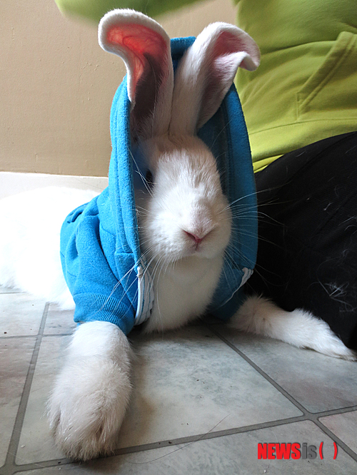 【서울=뉴시스】원추의 '오늘의 운세' 2013년 7월12일 금요일 (음력 6월5일·기묘)&nbsp; ▶쥐띠 = 노력하면 보람이 따르는 유익한 날. 직장인 2·4·9·10월생은 성과를 올릴 수 있겠다. 60년생 ㅅ·ㅈ·ㅊ성씨는 금전운은 따르지만 쇼핑을 신중하게 해야 할 듯. 생각 없이 물건을 사면 반드시 후회할 수. 특히 서북간에서의 거래는 피할 것.&nbsp; ▶소띠 = 오늘은 침묵이 제일이다. 3·4·10·11월생 직장인은 언행에 각별히 조심. 3·4월생은 푸른색. 10·11월생은 검은색이 정감 있는 색. ㄴ·ㅈ·ㅎ성씨 사업가는 꿈에서 깨어나야 할 때. 투자와 확장을 계속하면 빚더미에 앉게 될 듯.&nbsp; ▶범띠 = 이것이다 생각하면 열심히 힘을 쏟아라. 2·7·12월생은 독주보다 협동하면 성과가 큼. 호의 있는 사람에게는 의리를 굳건히 하면 신뢰를 얻게 될 수. ㄱ·ㅈ·ㅁ성씨는 날씨가 덥다고 해이해지지 마라.&nbsp; ▶토끼띠 = 1·9·10·11월생 가는 곳마다 인기가 높아질 듯. 당신의 말이 유머가 되는 날. 컨디션이 좋고 머리 회전이 잘 돼 하는 일도 다른 날보다 일찍 끝낼 수 있겠다. 75년생 ㄱ·ㅁ·ㅇ성씨는 이성 교제에 신중을 기해야 실수가 없다.&nbsp; ▶용띠 = 위기가 닥쳤을 때 1·3·8·11월생은 임시변통수를 쓰지 말고 진실한 면모를 보여줘라. 순간의 위기는 넘길 줄 몰라도 모두의 눈을 가릴 수는 없음을 명심할 것. 오늘은 말다툼 주의하고 음주는 금물. 52년생은 마가 낀 듯.&nbsp; ▶뱀띠 = 2·3·5·6월생 자기 계발에 신경 써야겠다. 푸른색 옷이 힘을 주는 격. 남쪽과 동쪽에 볼일이 있으면 가능한 다음으로 미루라. 그곳의 방향은 여러 가지로 불리함. 애정은 고통 수.&nbsp; ▶말띠 = 틀에 짜인 일상도 순간순간 최선을 다하면 즐거움이 된다. 3·4·5·6월생 새로운 일을 시도해 보려는 건 무모한 짓임을 알라. 노력하면 일의 성과가 보이는 날임. 유통업·여행업 종사자는 좋은 운.&nbsp; ▶양띠 = ㅂ·ㅅ·ㅎ성씨는 비현실적인 세계에 빠져 시간만 낭비하고 있구나. 당신은 꿈과 현실에서 방황할 나이가 아니다. 무엇보다 현실을 직시할 것. 그리고 길을 찾아도 결코 늦지 않다. 1·2·3월생은 푸른색 옷으로 힘내고 남쪽은 가지 않는 게 좋을 듯.&nbsp; ▶원숭이띠 = 신념이 강한 것은 좋지만 1·4·8·11월생은 타인의 의견을 무시해 인덕이 기대에 못 미친다. 다른 사람의 말도 수렴할 줄 아는 아량을 가져라. 56·44년생 ㅁ·ㅍ성씨는 가정의 우환을 조심해야 한다. 가족 중 이탈자 생길 듯.&nbsp; ▶닭띠 = 남들이 우러러볼 수 있도록 1·4·7·8월생은 스스로 처신을 잘할 것. 귀가 얇아 자기 의지대로 뜻을 펼칠 수가 없구나. ㅂ·ㅊ·ㅎ성씨는 외롭다고 아무에게나 정주면 실없는 사람이라는 인식 지울 수 없음을 알라.&nbsp; ▶개띠 = 눈을 크게 뜨고 2·4·6·10월생은 현실을 직시할 것. 매일 타성에 젖어 안일한 생활만 추구한다면 결과는 뻔하다. 예전의 부유했던 과거만 떠올리지 마라. 발전이 없다. ㄱ·ㅅ·ㅇ성씨는 건강 조심.&nbsp; ▶돼지띠 = 약속한 일을 지키는 것은 좋지만 3·4·8·9월생은 자신을 희생하면서까지 상대에게 얽매이지는 마라. 겉으로 판단하지 말고 상대 마음을 읽을 것. 나의 길잡이가 돼줄 자를 찾아라.&nbsp; 구삼원 원장 02-959-8493, 010-5584-9393 