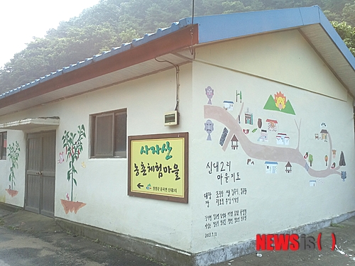 【청양=뉴시스】이진영 기자 = 29일 충남 청양군 운곡면(면장 송석구)신대리 한 조그만 시골 마을 집 벽면 곳곳이 형형색색의 아름다운 거리 벽화마을로 조성되면서 이곳을 찾는 사람들로부터 볼거리를 제공하고 있다. 2013.07.29. (사진= 청양군 제공)&nbsp; photo@newsis.com