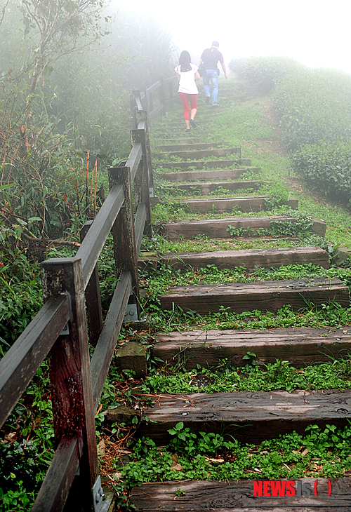 【서울=뉴시스】이성미의 ‘新연애학’ <18> 상대가 없어 결혼을 못하는 경우도 고민이지만, 상대가 있음에도 결혼결정을 못해서 고민하는 사람들도 많지요. 예전에는 “결혼상대로서 꼭 갖춰야 할 3가지 덕목이 그 사람에게 있다면 두말하지 말고 결혼하라”고 충고를 했습니다. 결혼정보회사 선우 커플매니저 www.couple.net