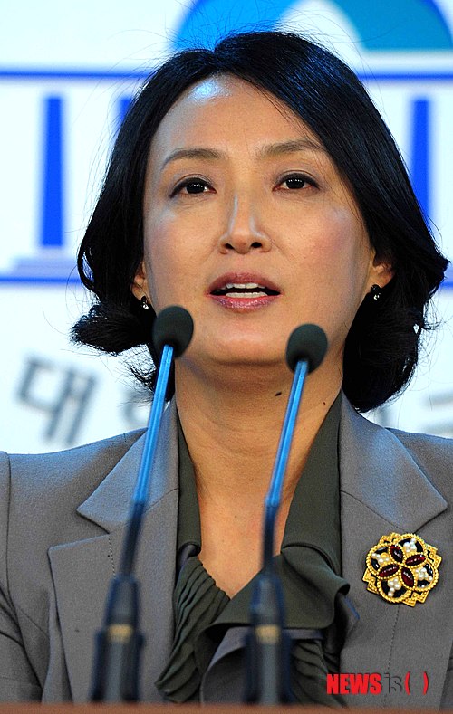 【서울=뉴시스】통합민주당의 대변인을 지냈던 차영 씨가 조용기 여의도순복음교회 원로목사의 큰아들인 조희준 전 국민일보 회장을 상대로 친자확인 소송을 냈다. 사진은 차 전 민주당 대변인이 국회 정론관에서 브리핑 하는 모습. 2013.08.01. (사진=뉴시스 DB)&nbsp; photo@newsis.com