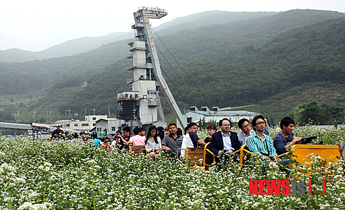 【정선=뉴시스】홍춘봉 기자 = 강원 정선군은 사북석탄문화제가 내달 6∼8일 3일간 정선군 사북읍 옛 동원탄좌 사북광업소 광장에서 열린다고 25일 밝혔다. 사진은 지난해 개최된 석탄문화제 광부인차 탑승체험행사 모습. 2013.08.25.(사진=정선군 제공)&nbsp; photo@newsis.com 