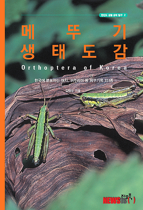 【서울=뉴시스】유상우 기자 = 메뚜기 생태 도감 (김태우 지음/ 지오북 펴냄)&nbsp; 귀뚜라미는 곤충 중에서도 메뚜기목(目)으로 분류한다. 방아깨비, 여치, 풀무치, 베짱이, 땅강아지, 삽사리 또한 모두 메뚜기목에 속한다. 얼핏 비슷비슷하게 생긴 것 같지만 서식장소나 먹이, 습성 등이 제각각이다. 생김새 역시 확연히 다르다.&nbsp; swryu@newsis.com