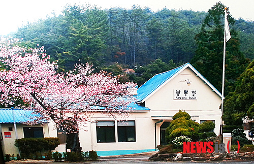 【나주=뉴시스】이창우 기자 = 지난 2011년 10월 무정차역으로 지정된 이후 열차가 서지 않았던 남평역이 지난달 27일 첫 운행에 들어간 남도해양관광열차(S트레인)이 정차하면서 활기를 되찾고 있다. 나주 남평역은 곽재구 시인의 '사평역에서'의 작품배경이자 전국에서 가장 아름다운 간이역 가운데 한곳으로 꼽히고 있다. 2013.10.01. (사진=티월드페스티벌 제공) lcw@newsis.com