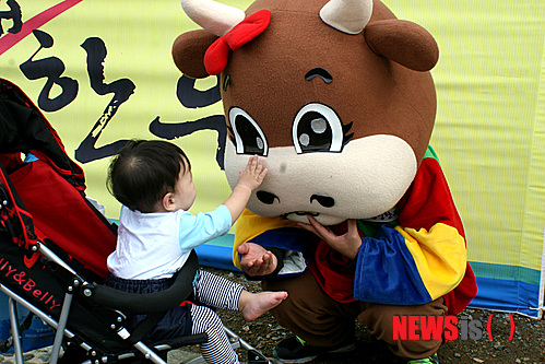 【횡성=뉴시스】김영준 기자 = 6일 강원 횡성군 섬강 둔치 일원에서 '제9회횡성한우축제'가 펼쳐지고 있는 가운데 축제장를 찾은 어린아이가 한우 마스코트와 정답게 교감하고 있다. 2013.10.06. kyj0307@newsis.com