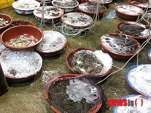 【부산=뉴시스】허상천 기자 = 부산시 강서구 녹산·신호일대와 가덕도 어민들이 올해 부산청게(톱날꽃게)와 보리새우 풍년으로 즐거운 비명을 지르고 있다. 2013.10.08. (사진 = 수산자원연구소 제공)&nbsp; photo@newsis.com