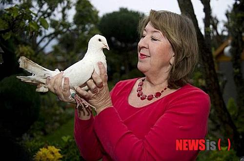 【서울=뉴시스】발레리 위팅엄이 올 해 24살로 세계 최장수 비둘기인 피스를 들고 있다. 피스는 인간 나이로 환산하면 무려 147살에 해당한다. (사진출처: 英 메트로)