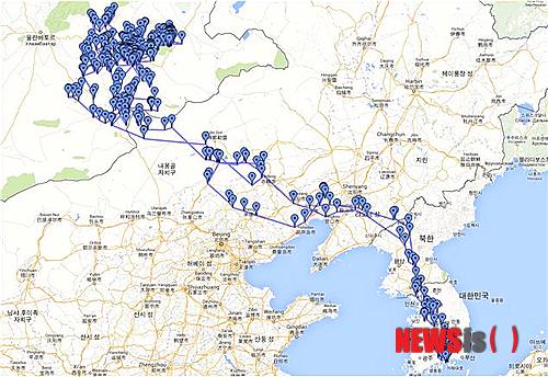 【대전=뉴시스】이시우 기자 = 지난 1월 경남 고성에서 포획한 야생 독수리에 추적기(WT-200)를 부착한 뒤 10개월 동안 추적조사한 야생독수리의 이동경로도다. 이 독수리는 지난 4월 휴전선을 넘어 몽골로 날아간 뒤 지난 9일 국내로 다시 돌아왔다. 2013.11.20.(사진=국립중앙과학관 제공) photo@newsis.com