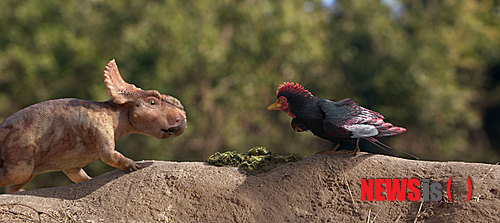 【서울=뉴시스】김태은 문화전문기자 = 신화와 전설이 사라진 시대, 공룡은 어린이들에게 새로운 상상의 세계다. 과학과 이성이 장악한 21세기에 달을 보며 절구질하는 옥토끼를 떠올리는 아이들은 없다시피 하다.&nbsp; tekim@newsis.com