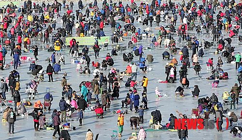 자라섬축제장을 찾은 인파.