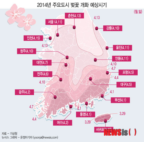【서울=뉴시스】그래픽 윤정아 기자 = 13일 기상청에 따르면 올해 벚꽃 개화 시기는 평년보다 2~3일, 작년에 비해서는 5일 정도 늦을 것으로 예상된다. yoonja@newsis.com