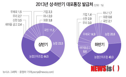 【서울=뉴시스】그래픽 윤정아 기자 = 2013년 상·하반기 대포통장 발급처 yoonja@newsis.com