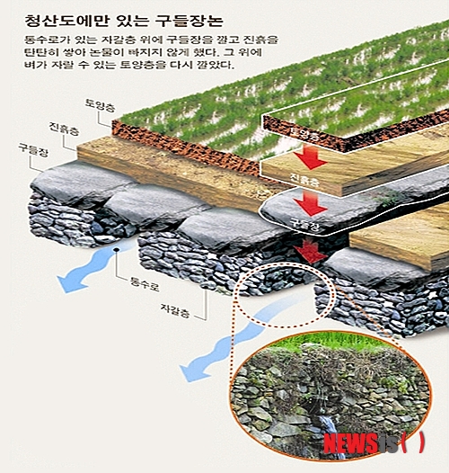 【완도=뉴시스】구길용 기자 = 국제연합식량농업기구(FAO) 세계중요농업유산(GIAHS)으로 지정된 완도 청산도 구들장 논 구조. 바닥에 온돌 형태의 구들장을 놓고 통수로를 만들어 아래 논으로 물이 흐르도록 해 물의 활용도를 높이는 방식이다. 2014.04.03. (사진=전남도 제공)&nbsp; kykoo1@newsis.com 