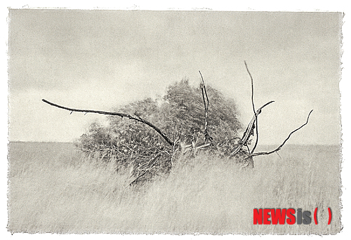 【서울=뉴시스】윤길중 ‘#1’(55×75㎝, 한지에 UV 프린트, 2014)