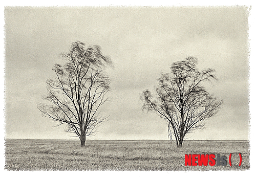 【서울=뉴시스】윤길중 ‘#15’(55×75㎝, 한지에 UV 프린트, 2014)