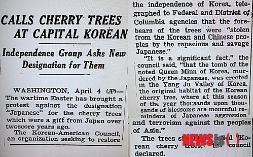 【뉴욕=뉴시스】노창현 특파원 = 한국의 독립운동가들이 해방 전인 1942년 미 정부에 워싱턴DC에 심어진 ‘일본 벚나무’를 ‘한국 벚나무’로 이름을 변경할 것을 요청한 것으로 밝혀졌다. 1942년 4월5일 뉴욕 타임스는 ‘워싱턴 벚나무 한국 벚나무로 불러라(Calls Cherry Trees at Capital Korean)’ 제하의 기사에서 “한국의 독립운동단체인 한미위원회가 연방 수도인 워싱턴에 심어진 벚나무는 일본이 훔쳐간 것으로 한국산이라는 이름을 붙여야 한다”고 요청한 사실을 보도했다. 사진은 1942년 4월5일 NYT 기사. 2014.04.17. <사진=NY타임스 DB> robin@newsis.com