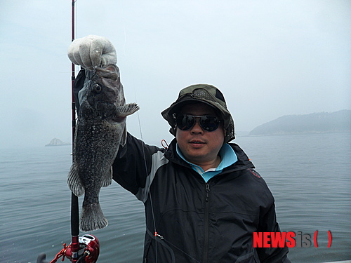 【보령=뉴시스】이진영 기자 =15일 충남에서 가장 많은 낚시꾼이 찾고 있는 충남 보령에는 최근 바다 수온이 상승하면서 선상 낚시를 즐기려는 낚시꾼들로 북적이고 있다. 사진은 한 낚시꾼이 대천항 앞 바다에서 잡아 올린 우럭을 들어 보이고 있다. 2014.05.15. (사진= 김세준 제공)&nbsp; photo@newsis.com