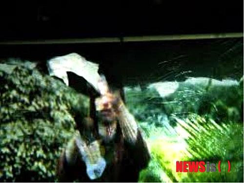 【서울=뉴시스】영국의 실험영화작가 가이 셔윈