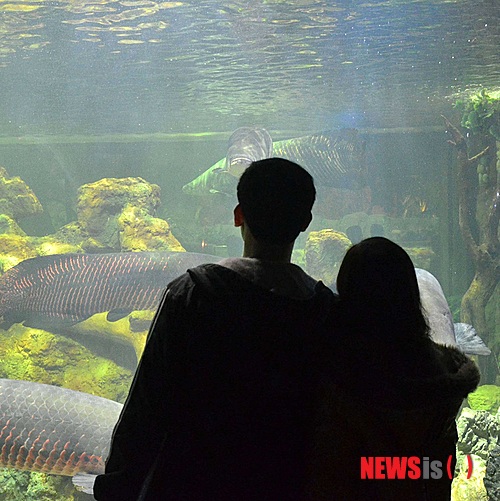 【서울=뉴시스】이성미의 ‘新연애학’ <62>&nbsp; “제 나이가 그렇더라고요. 직장 다닌 지가 얼마 안 돼 모아놓은 돈도 별로 없고, 20대 여성들은 숫자가 적어서 만나기가 쉽지 않은데, 그나마도 저처럼 평범한 한 두 살 연상남보다는 나이 차이가 좀 나더라도 경제적, 사회적으로 안정된 다섯 살 이상 연상남을 더 선호하더라고요. 참 애매한 나이인 것 같아요.”&nbsp; 결혼정보회사 선우 커플매니저 www.couple.net