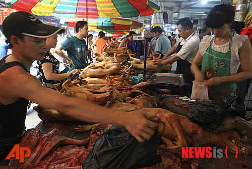 【위린(중국 광시)=AP/뉴시스】21일(현지시간) 중국 광시(廣西)좡족자치구 위린(玉林)의 한 농수산시장에서 개고기가 거래되고 있다. 매년 하지 전후 일주일 동안 열리는 지역 축제인 '개고기 축제'가 동물애호가와 현지 주민들의 충돌로 진통을 겪고 있다. 2014.06.23