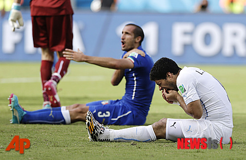 【나타우=AP/뉴시스】우루과이의&nbsp; 루이스 수아레스(27·리버풀·사진 오른쪽)가 25일(한국시간) 나타우의 이스타지우 다스 두나스에서 열린 2014브라질월드컵 이탈리아와의 경기에서 이탈리아의 조르지오 키엘리니(30·유벤투스)의 어깨를 깨문 뒤 고통을 호소하고 있다.&nbsp;&nbsp;&nbsp; 