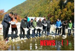 【경북=뉴시스】최창현 기자 = 25일 경북도 민물고기연구센터가 산개구리 10만마리, 민물가재 5000마리를 울진군 불영계곡 등에 방류하고 있다. 2014.06.25 (사진=경북도 제공)&nbsp; chc@newsis.com