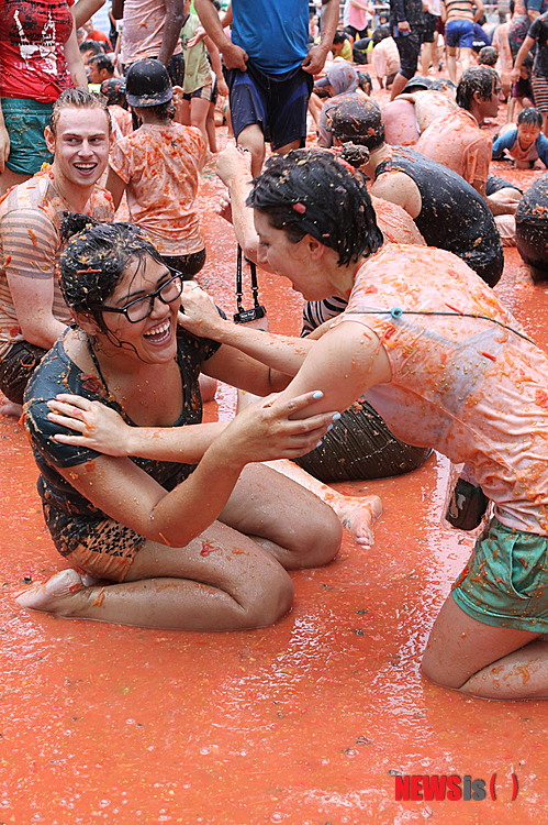 【화천=뉴시스】한윤식 기자 = 강원 화천 토마토축제가 연일 성황을 이루고 있는 가운데 3일 외국인 관광객들이 황금반지를 찾으며 즐거운 시간을 보내고 있다. 2014.08.03&nbsp; ysh@newsis.com 