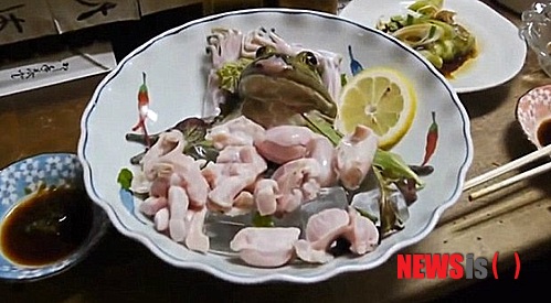 【서울=뉴시스】일본에서 혐오스러운 요리를 내놓기로 악명높은 한 음식점의 요리인 황소개구리회가 잔인한 조리 과정으로 인해 동물 학대 논란으로까지 이어졌다. 도쿄 신주쿠의 한 골목길로 알려진 오모이데요코초(思い出横丁)에 있는 한 음식점에서 판매되는 개구리회의 모습. (사진 출처: 영국 데일리 메일) 