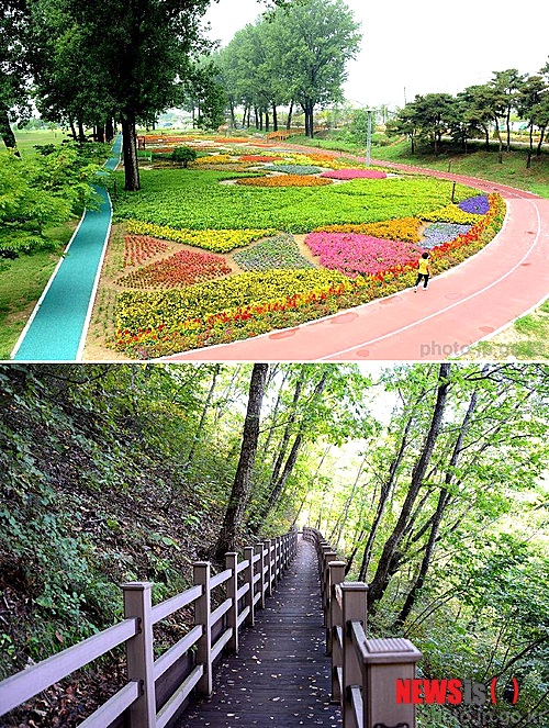 【증평=뉴시스】강신욱 기자 = 충북 증평군은 지역 대표 관광명소로 가볼 만한 곳과 걷고 싶은 길 6곳을 선정했다. 사진은 가볼 만한 곳인 보강천 미루나무숲(위)과 걷고 싶은 길인 바람소리길. 2014.09.03. (사진=증평군청 제공) photo@newsis.com