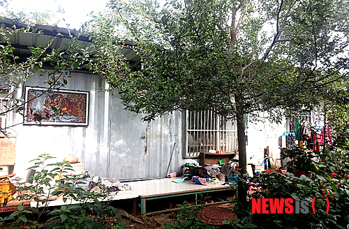 【나주=뉴시스】이창우 기자 = 농협자산관리회사의 '싹쓸이 채권추심'으로 영농의지를 상실한 채 벼랑 끝으로 내몰린 농민이 있어 주위를 안타깝게 하고 있다. 사진은 전남 나주시 봉황면 와우리 양모씨 주택. 문중 터에 임시로 마련한 양씨 집은 초라한 콘테이너 가건물이다. 양씨는 이곳에서 80대 중반 노모를 모시고 10년째 생활하고 있다. 2014.10.02&nbsp; lcw@newsis.com&nbsp; 