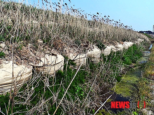 【김제=뉴시스】고석중 기자 = 동양 최초·최대 규모의 수리시설인 김제 벽골제(碧骨堤) 용수로가 노후화에 따른 균열로 수년째 누수 현상이 발생하면서 붕괴 위험에 노출돼 있다. 2014.10.07. (사진= 김제시 제공)&nbsp;&nbsp; photo@newsis.com&nbsp;&nbsp; 