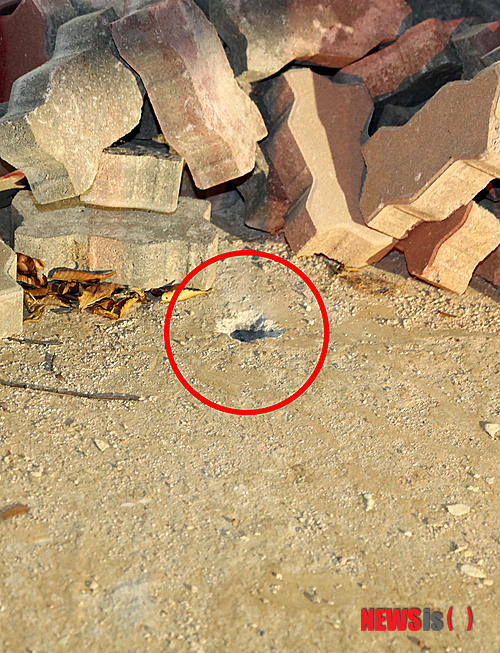 【연천=뉴시스】이종구 기자 = 북한이 경기 연천 지역에 10일 오후 4~5시 사이 두 차례에 걸쳐서 풍선에 매달린 대북 전단(삐라)을 향해 14.5mm 고사총 60 여발을 발사했다. 사진은 북한군이 쏜 수십여발 가운데 한발이 연천 중면 면사무소 앞 마당에 박혀 있는 모습. 2014.10.10. leejg@newsis.com