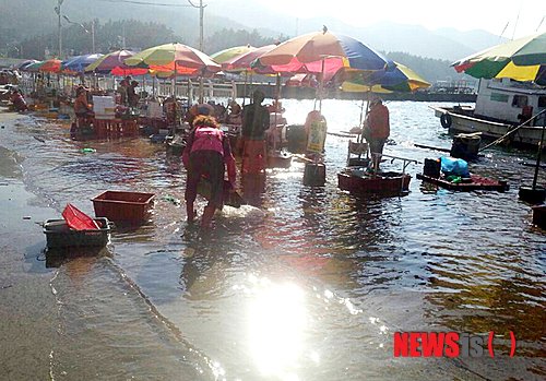【신안=뉴시스】박상수 기자 = 11일 오후 3시40분부터 4시까지 만조시간대 전남 신안군 흑산항 일대의 도로가 물에 잠겨 있다. 2014.10.12 (사진=독자 제공)&nbsp; photo@newsis.com 