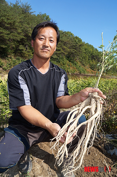 【의성=뉴시스】