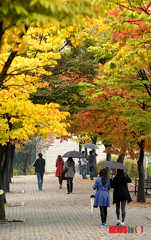 【서울=뉴시스】박상훈 기자 = 일 년 중 서리가 내리기 시작한다는 상강(霜降) 절기를 사흘 앞둔 20일 오후 서울 관악구 서울대학교에서 학생들이 단풍이 아름답게 물든 교정을 우산을 쓰고 걷고 있다. 2014.10.20.&nbsp; hyalinee@newsis.com 