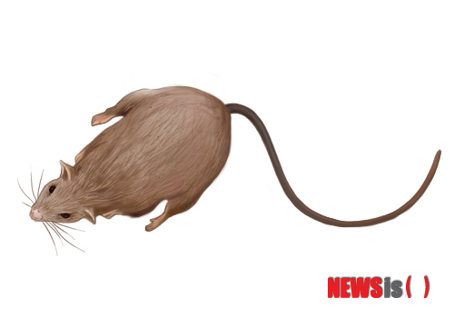 【서울=뉴시스】유희연 기자 = 세스코는 위생상태 체크, 현재 발생한 해충의 종류, 발생 원인을 분석, 이에 대한 해결방법을 제시받을 수 있는 '무료진단 서비스'를 운영하고 있다.&nbsp; lovely_jh@newsis.com 