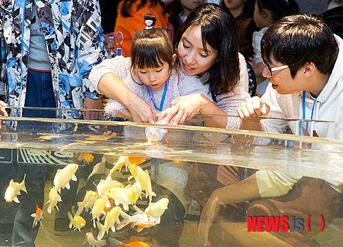 【서울=뉴시스】박문호 기자 = 8일 서울 송파구 잠실 제2롯데월드 아쿠아리움에서 심사를 통해 가족과 친구로 구성된 '루루프렌즈' 홍보단 발대식을 마친 홍보단원들이 아쿠아리움을 둘러보고 있다.&nbsp; 홍보단원들은 3개월동안 아쿠아리움 체험, 온·오프라인 미션 수행, 온라인 커뮤니티 홍보활동을 하게 된다. 2014.11.08. (사진=롯데월드 아쿠아리움 제공)&nbsp; photo@newsis.com