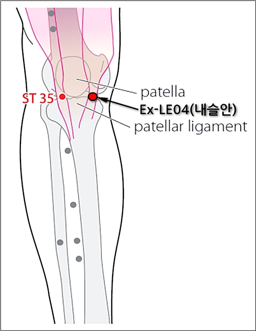 【대전=뉴시스】